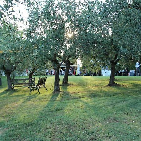 Il Vecchio Gelso - Agriturismo Rimini Montefiore Conca Villa Exterior foto