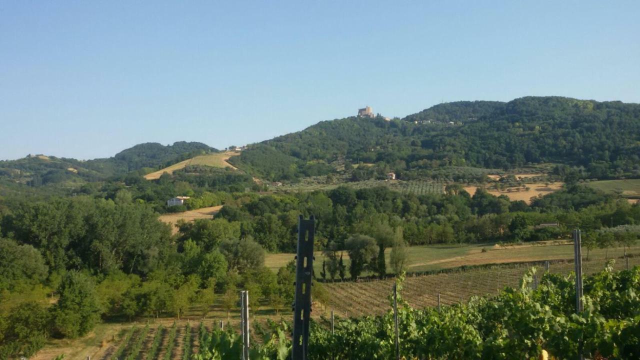 Il Vecchio Gelso - Agriturismo Rimini Montefiore Conca Villa Exterior foto