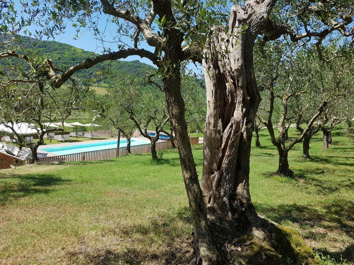 Il Vecchio Gelso - Agriturismo Rimini Montefiore Conca Villa Exterior foto