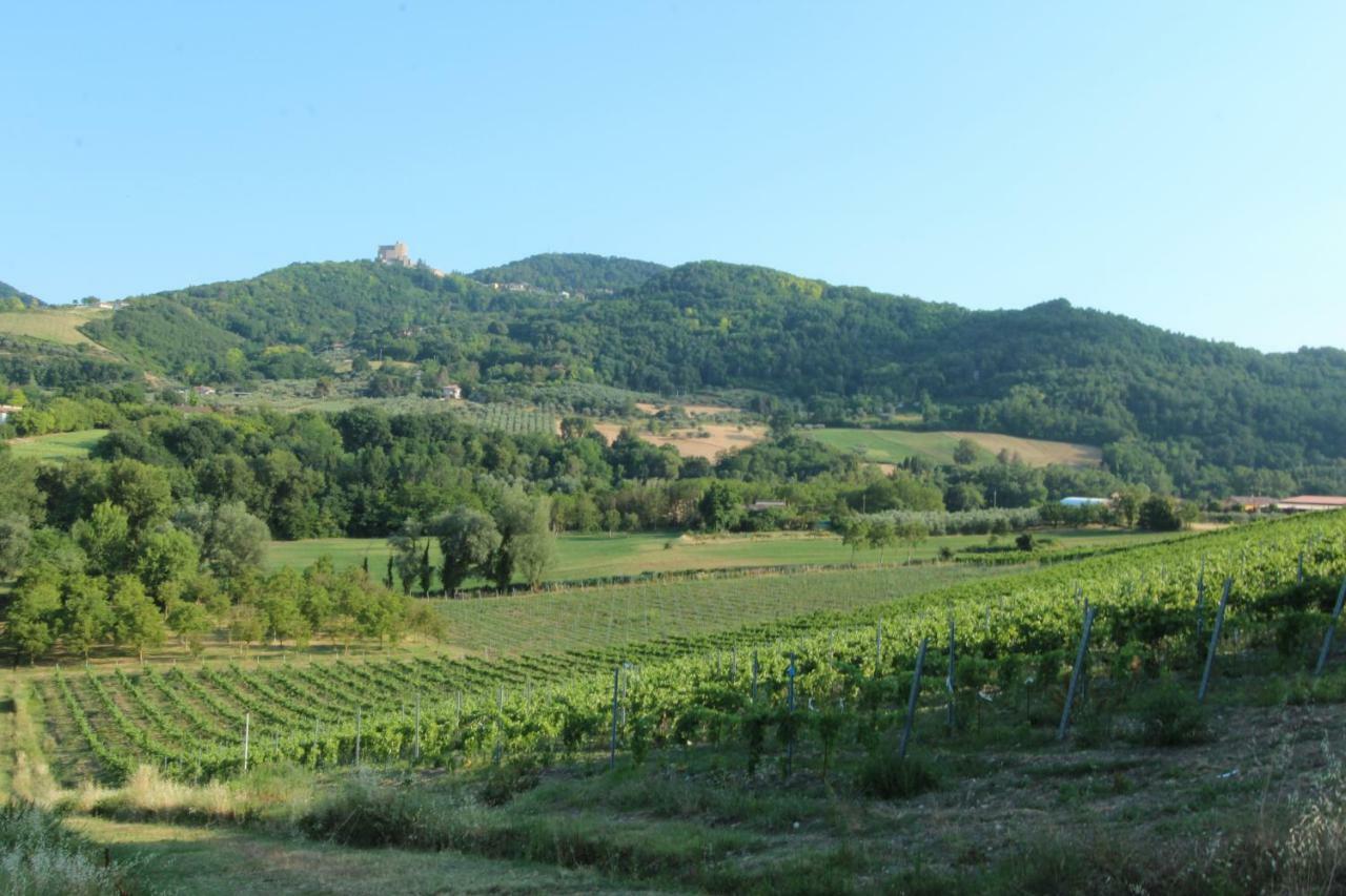 Il Vecchio Gelso - Agriturismo Rimini Montefiore Conca Villa Exterior foto
