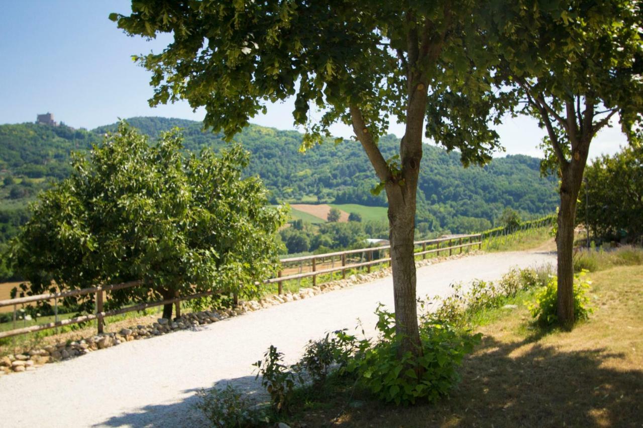 Il Vecchio Gelso - Agriturismo Rimini Montefiore Conca Villa Exterior foto