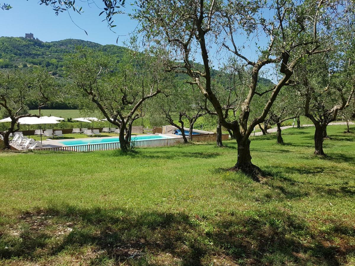 Il Vecchio Gelso - Agriturismo Rimini Montefiore Conca Villa Exterior foto