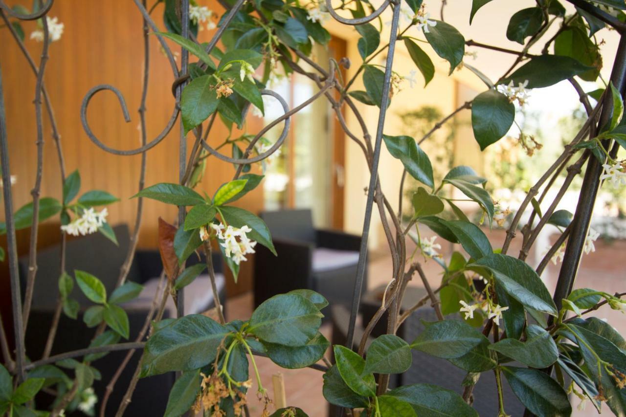 Il Vecchio Gelso - Agriturismo Rimini Montefiore Conca Villa Exterior foto