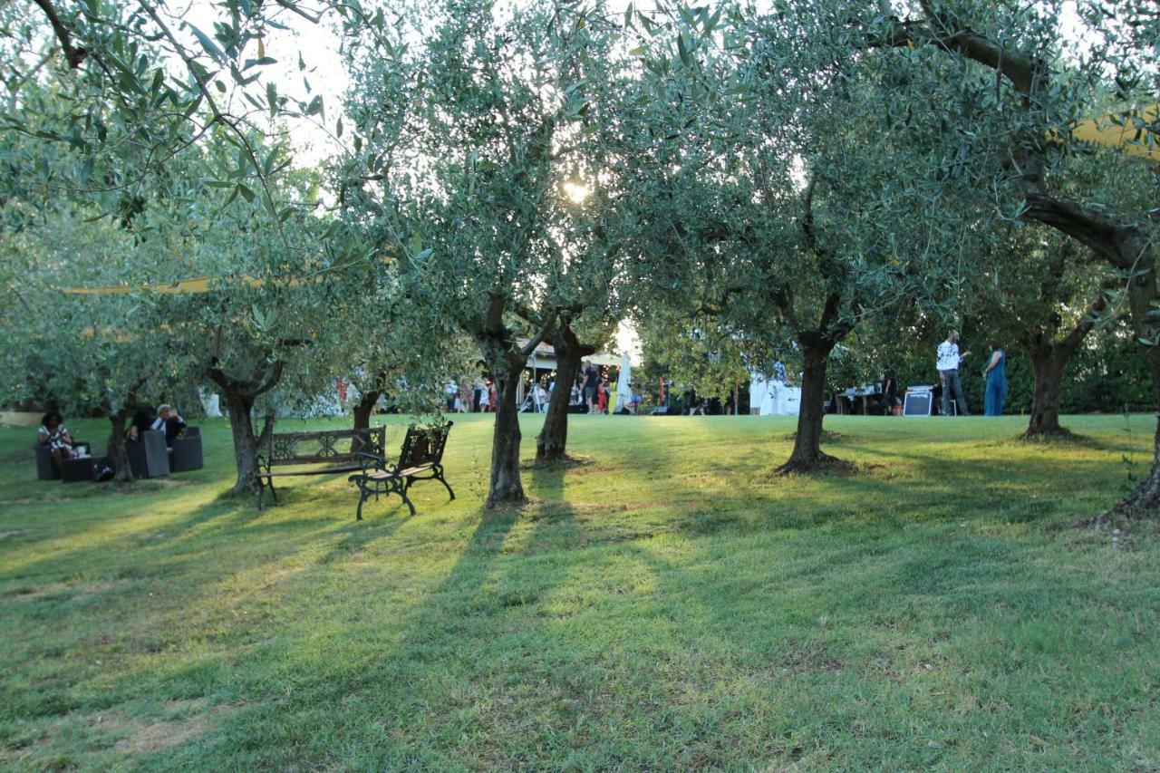Il Vecchio Gelso - Agriturismo Rimini Montefiore Conca Villa Exterior foto