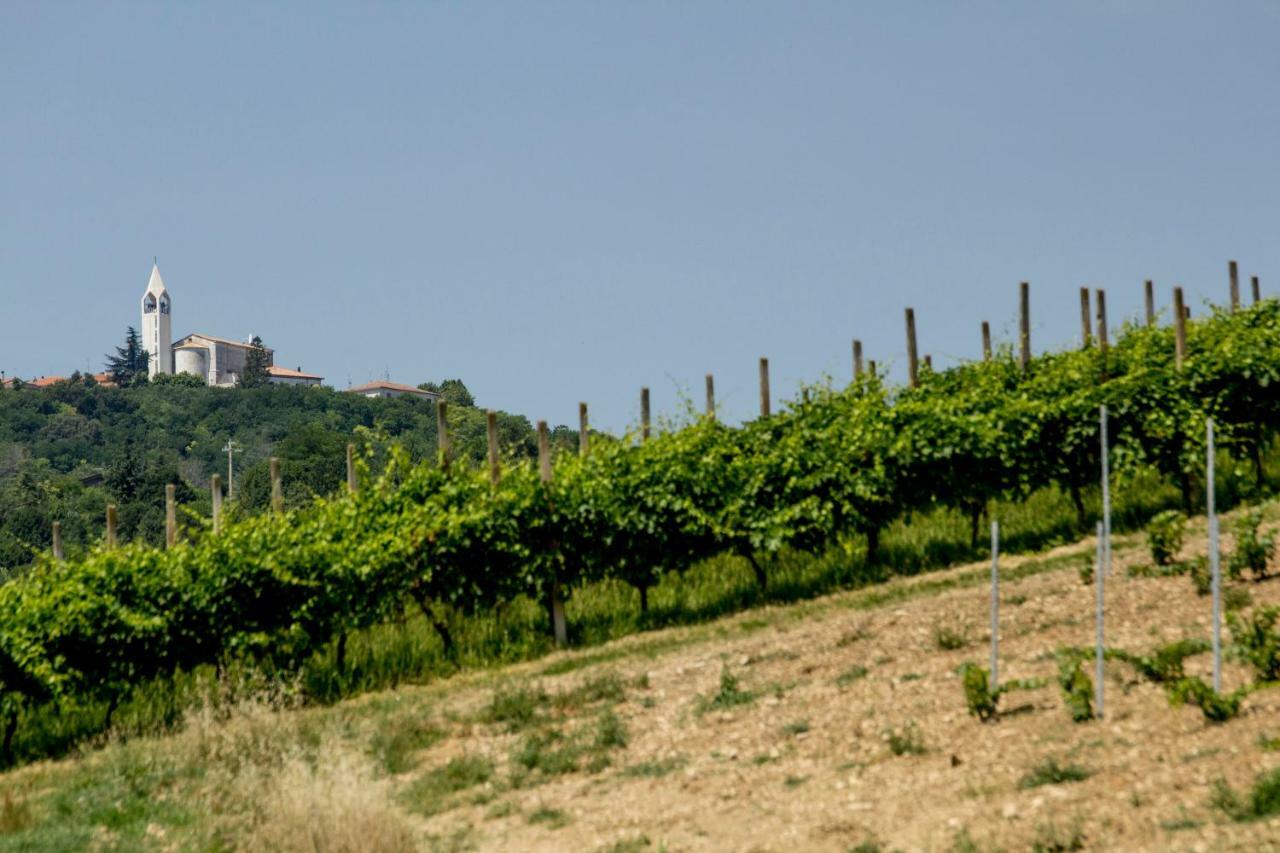 Il Vecchio Gelso - Agriturismo Rimini Montefiore Conca Villa Exterior foto